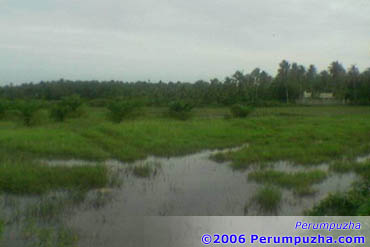 Perumpuzha