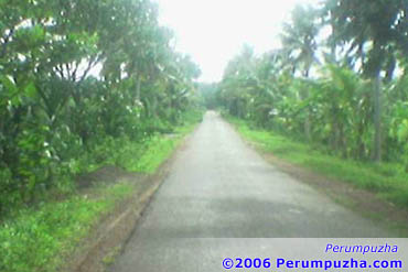 Perumpuzha