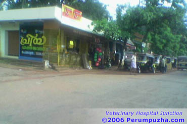 Perumpuzha